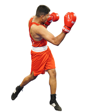 boxer